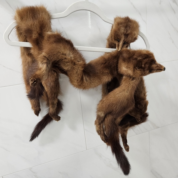 Vintage 1940s mink stole 4 pelts - Picture 6 of 6